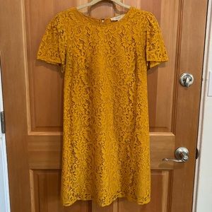 [LOFT] Yellow Lace Shift Dress
